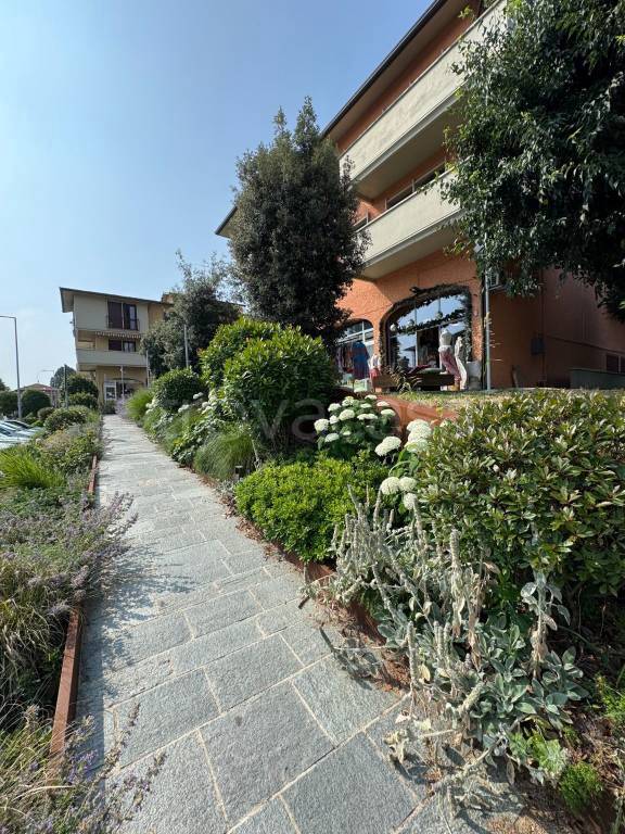 immagine annuncio 2 di 9