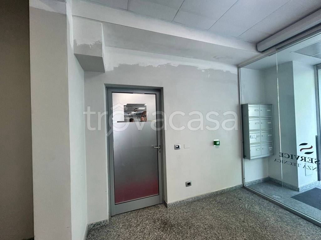 immagine annuncio 9 di 14