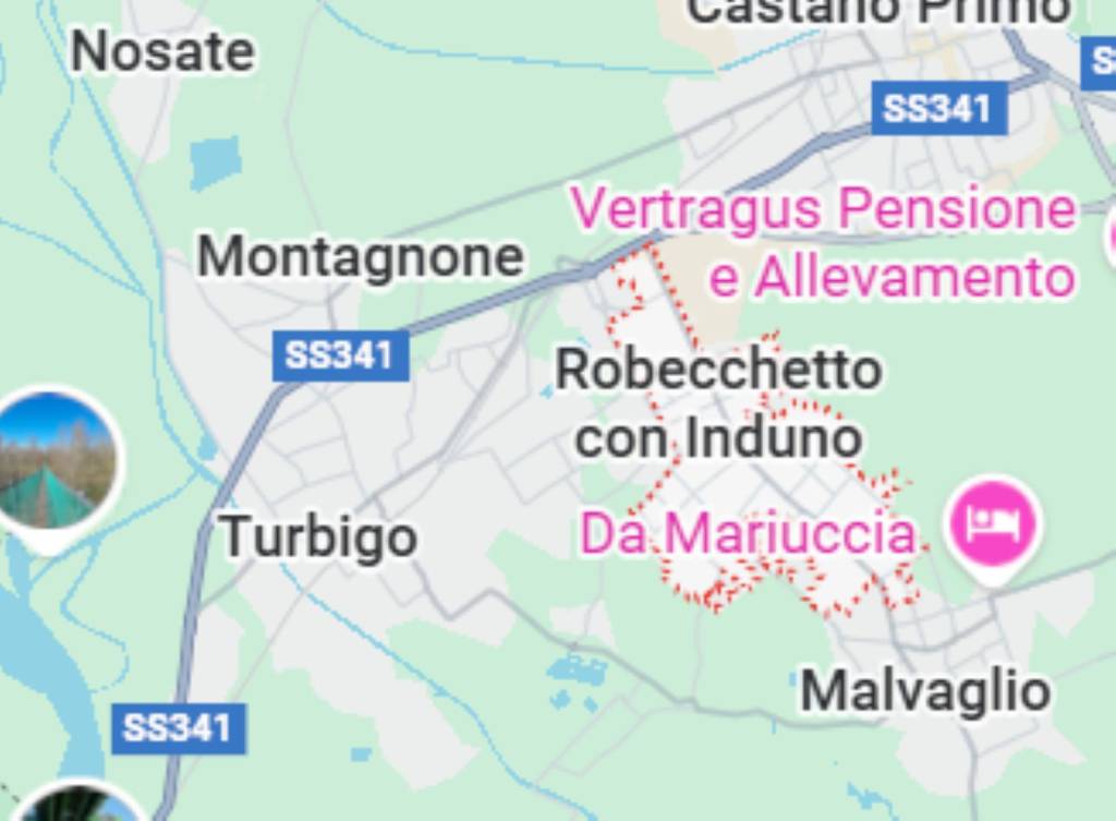 immagine annuncio 5 di 13