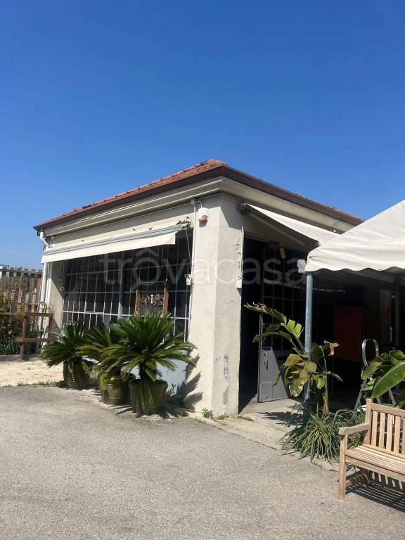 immagine annuncio 9 di 14