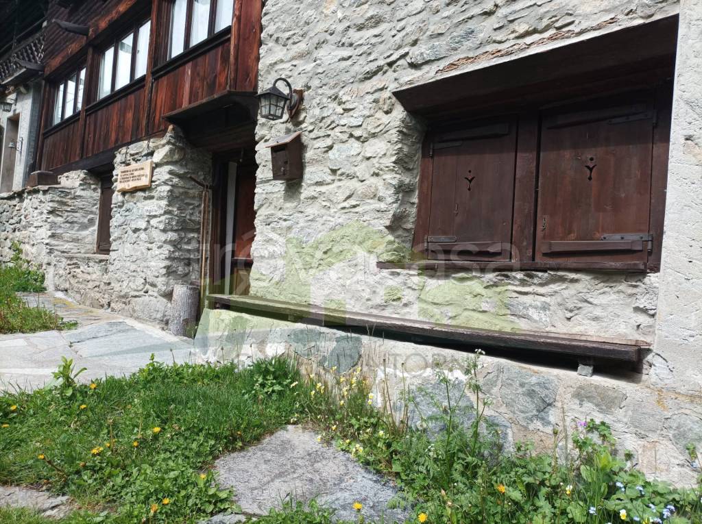 immagine annuncio 12 di 14