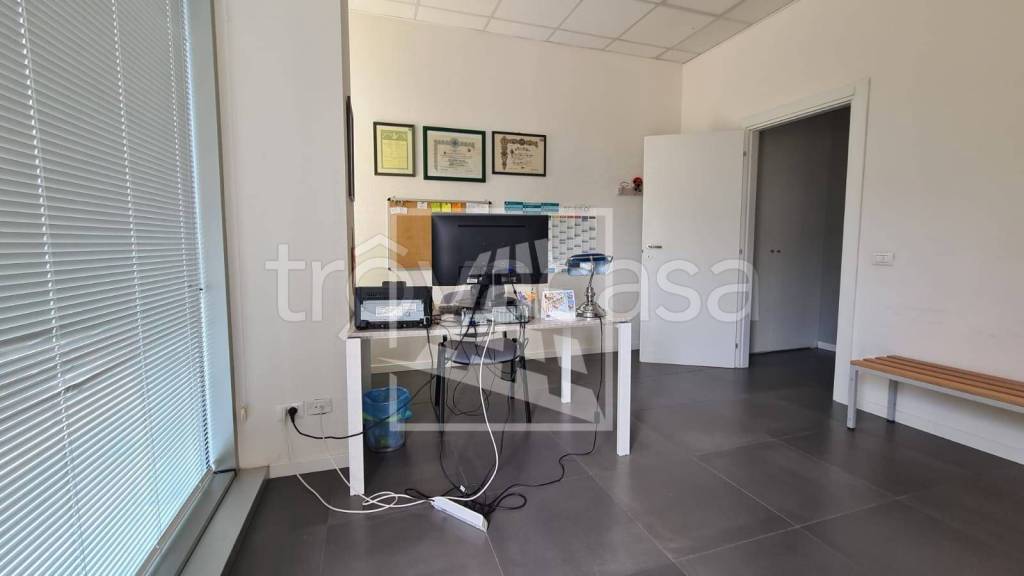 immagine annuncio 1 di 14