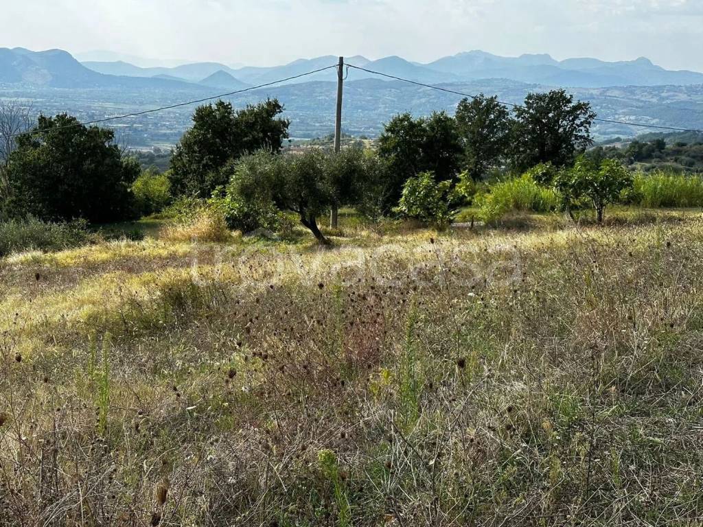 immagine annuncio 5 di 14