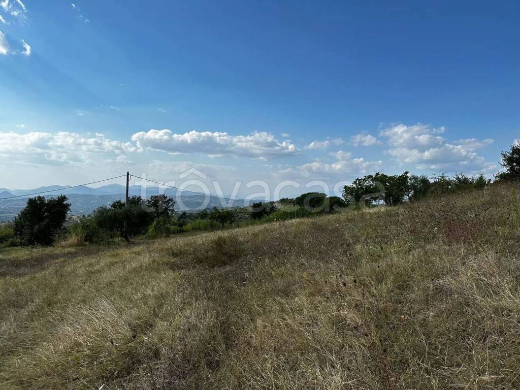 immagine annuncio 6 di 14