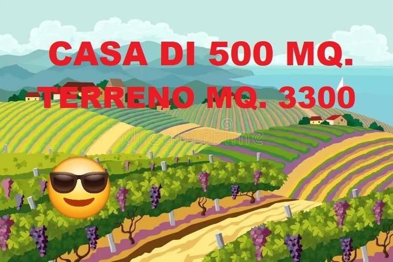 immagine annuncio 5 di 7