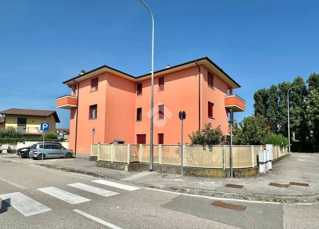 immagine annuncio 11 di 12