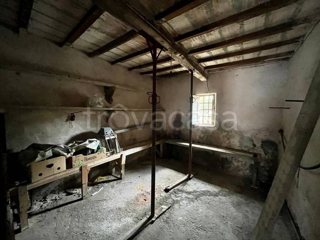 immagine annuncio 8 di 13