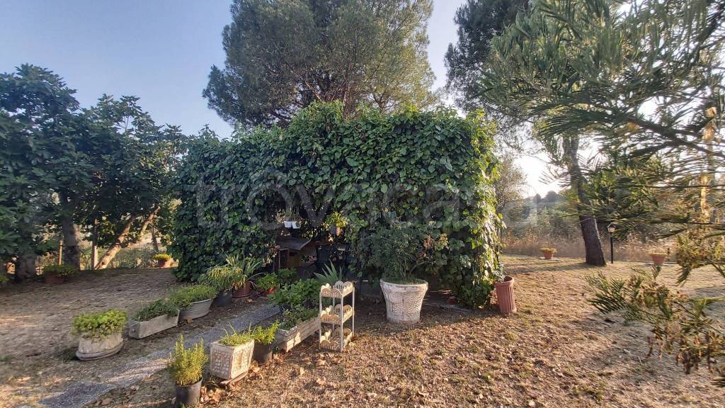 immagine annuncio 4 di 6
