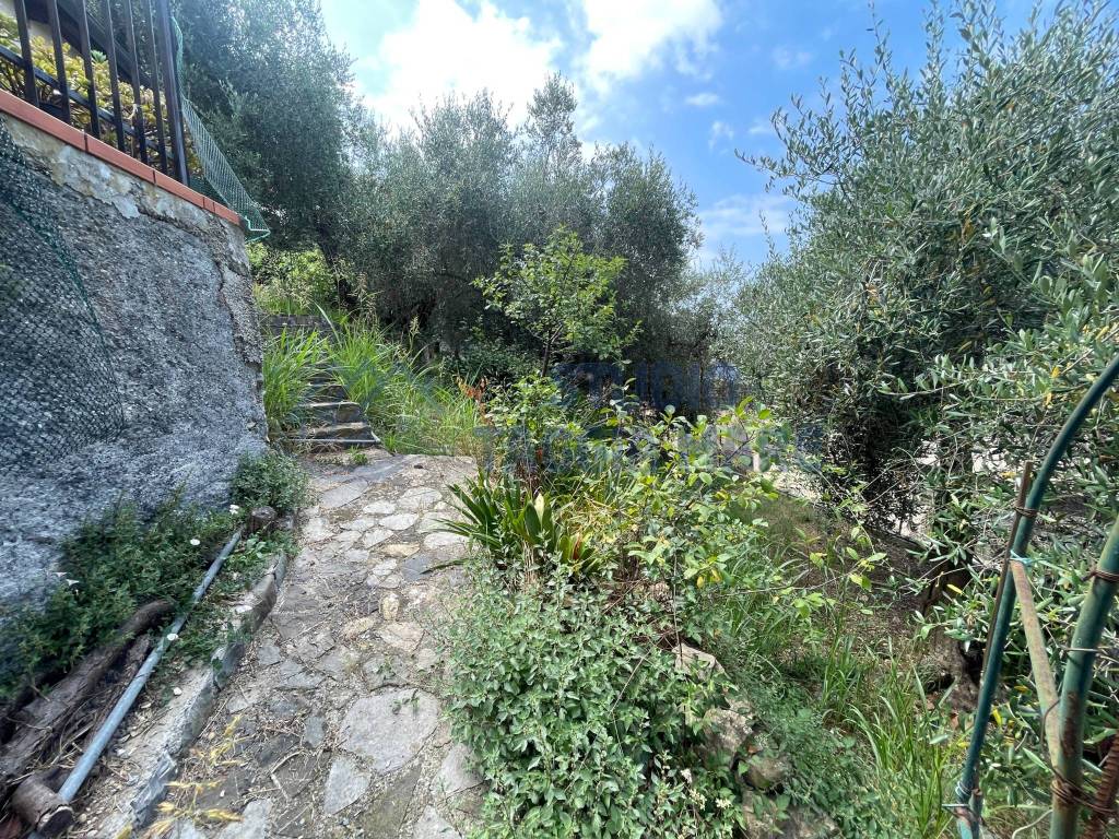 immagine annuncio 2 di 14