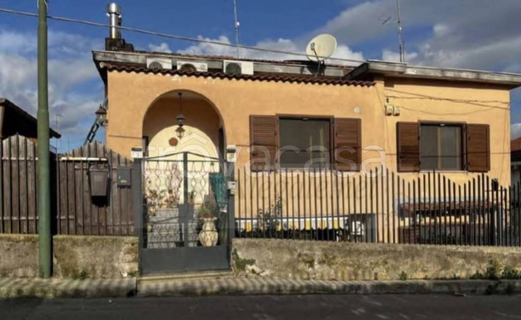 immagine annuncio 2 di 11