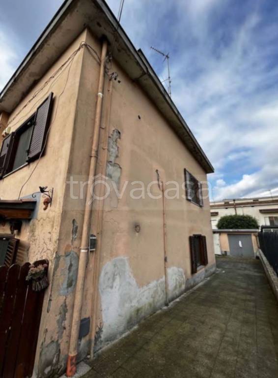 immagine annuncio 3 di 11