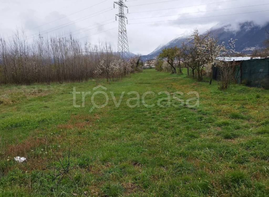 immagine annuncio 3 di 6