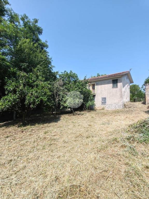 immagine annuncio 4 di 9
