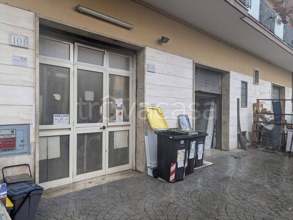 immagine annuncio 11 di 15