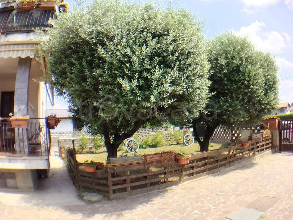 immagine annuncio 5 di 15