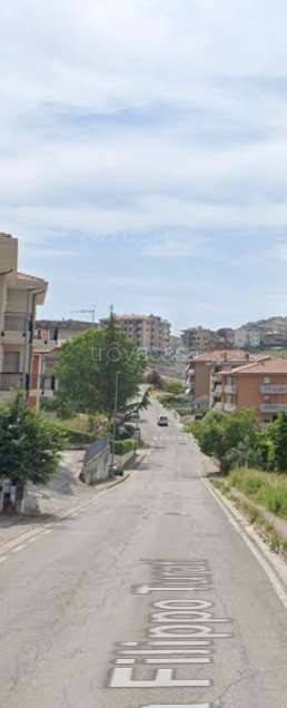 immagine annuncio 5 di 12