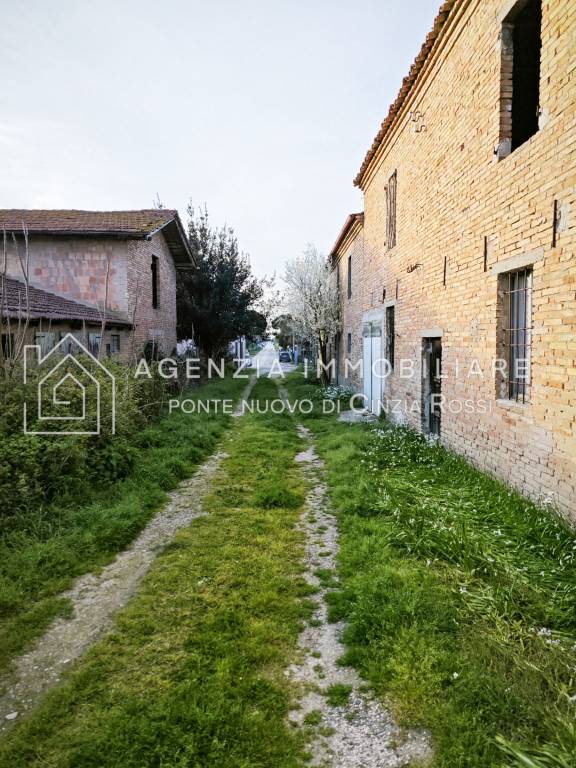 immagine annuncio 11 di 14