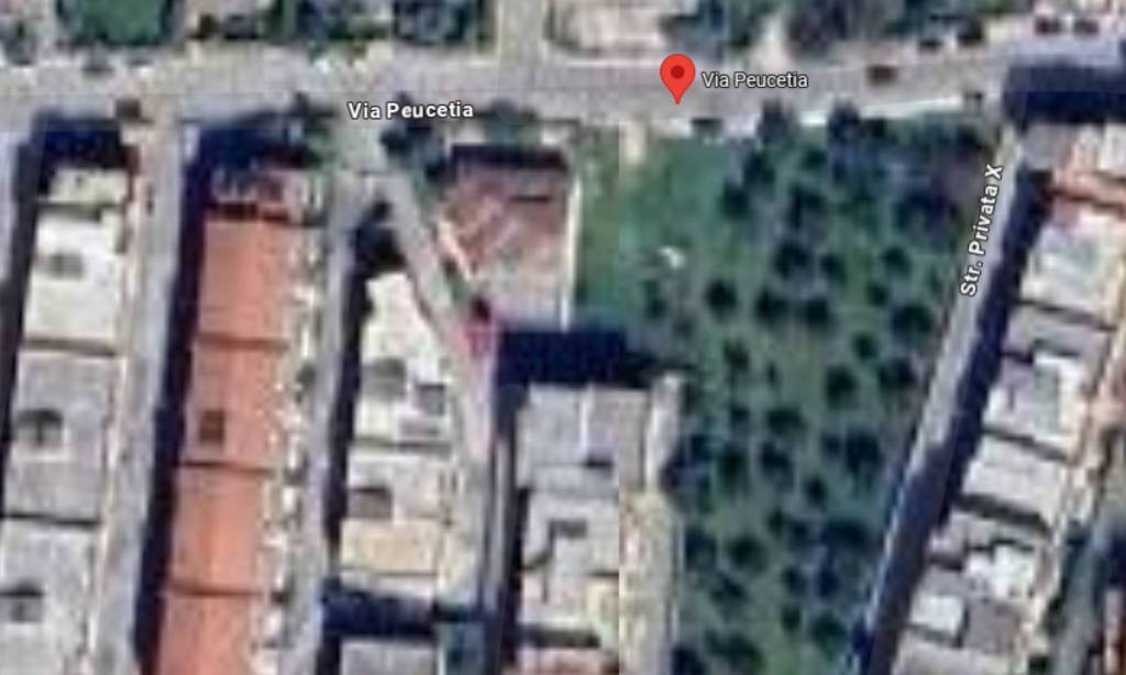 immagine annuncio 4 di 11