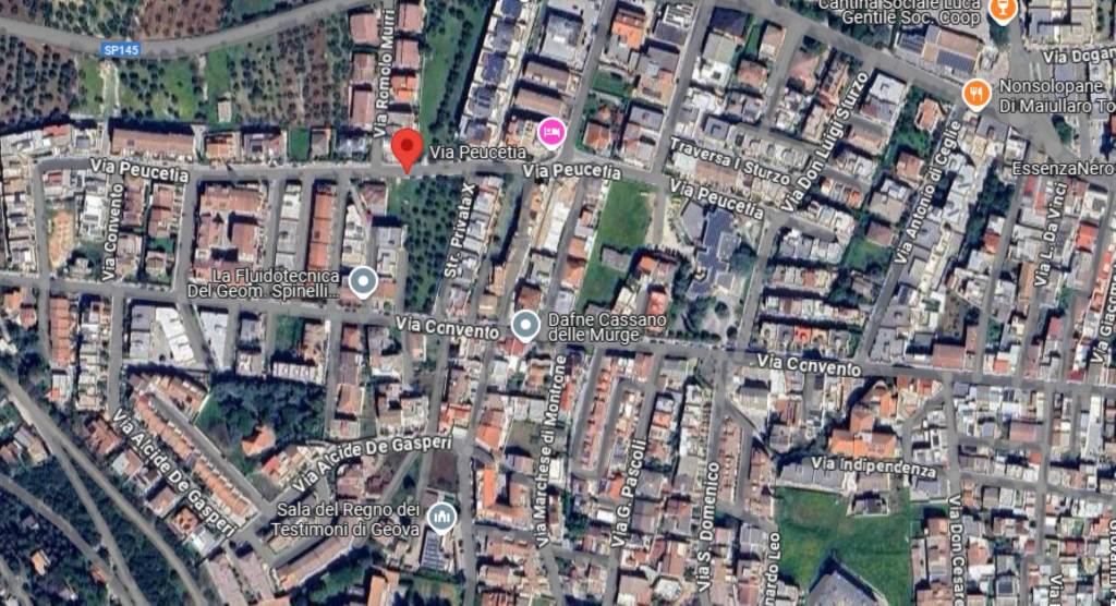 immagine annuncio 9 di 11