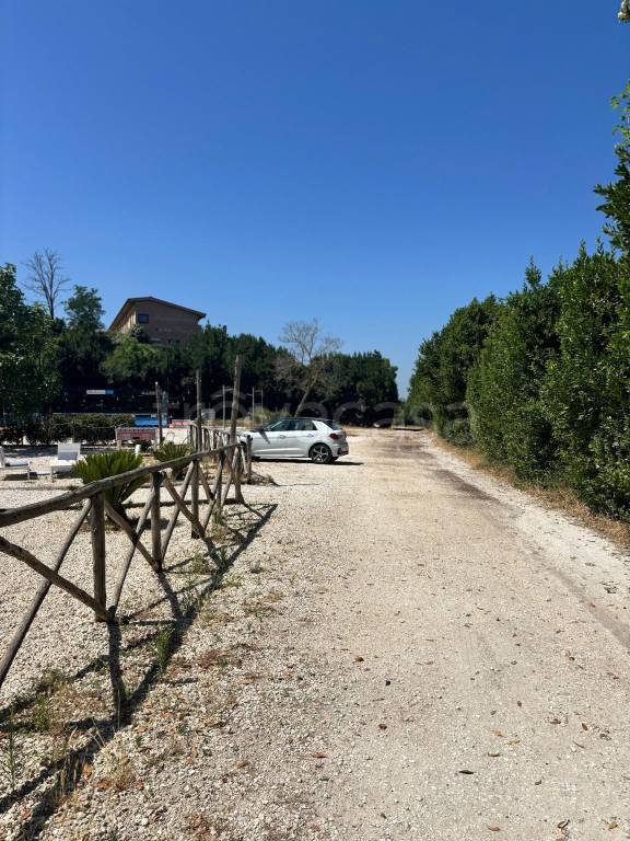 immagine annuncio 10 di 12