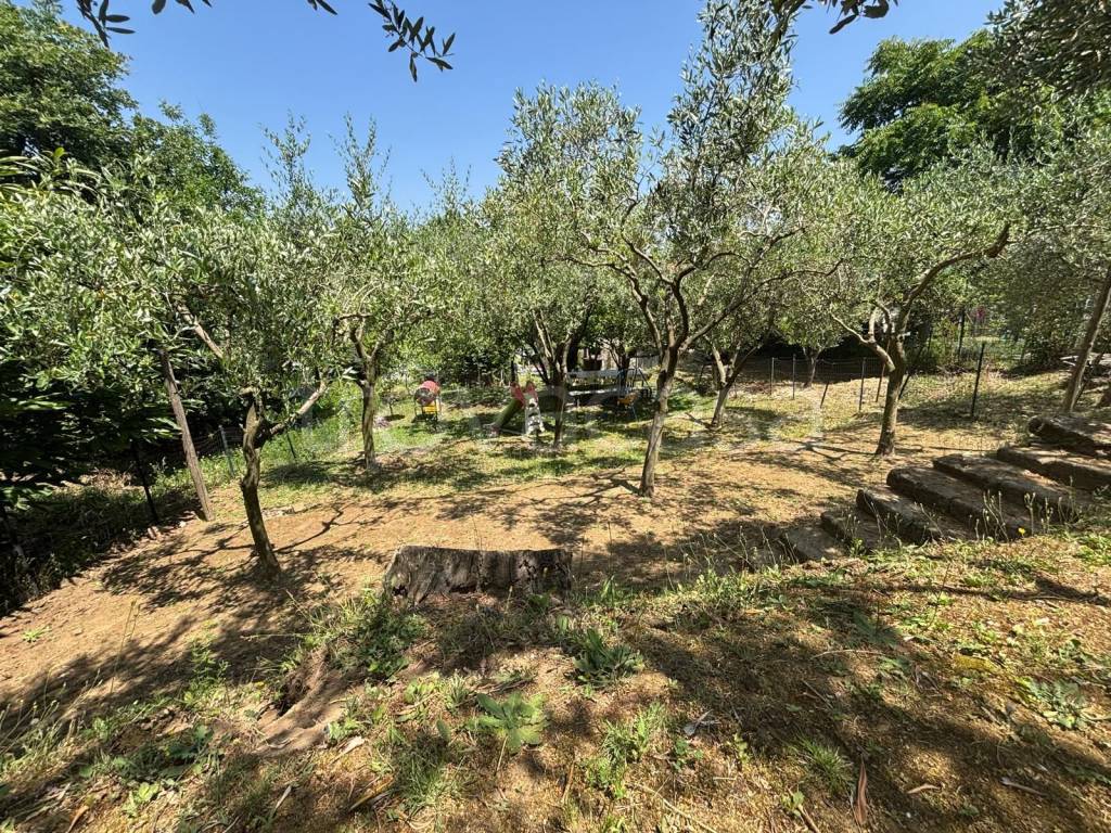 immagine annuncio 3 di 8