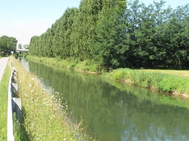 immagine annuncio 10 di 11