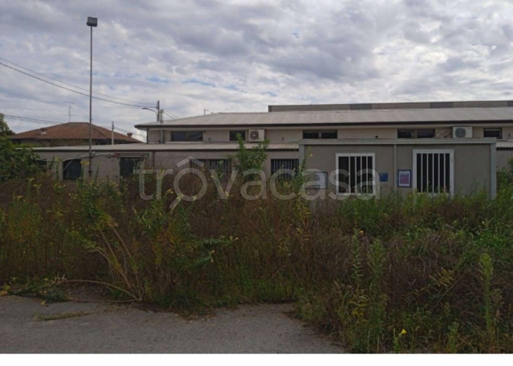 immagine annuncio 1 di 13