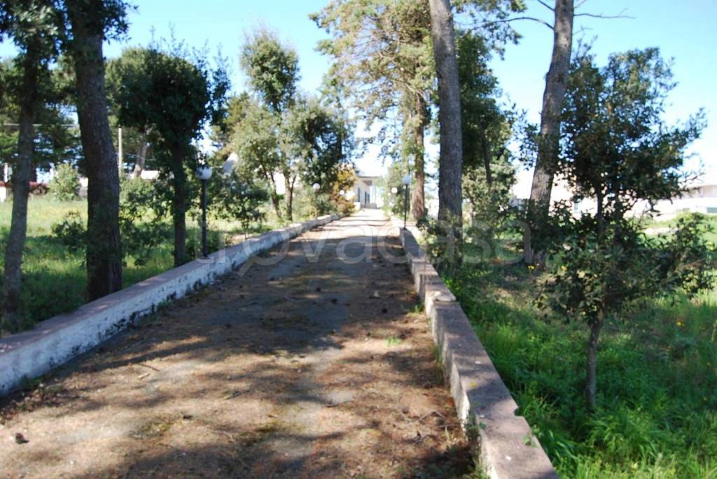 immagine annuncio 11 di 13