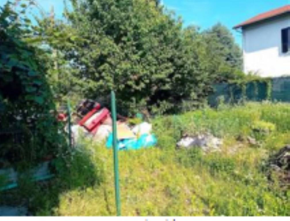 immagine annuncio 2 di 11