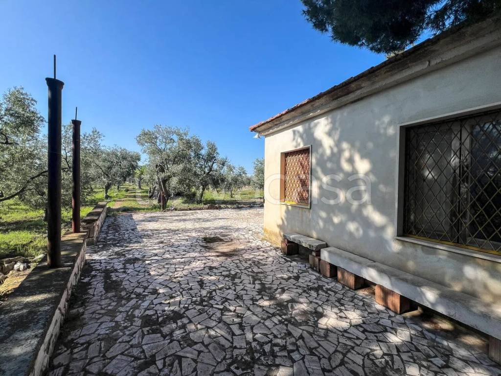 immagine annuncio 2 di 9