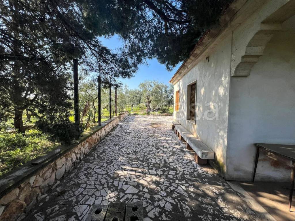 immagine annuncio 3 di 9