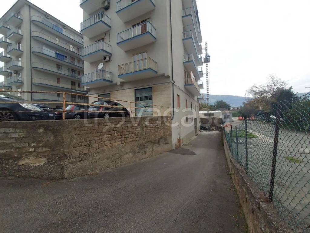 immagine annuncio 12 di 13