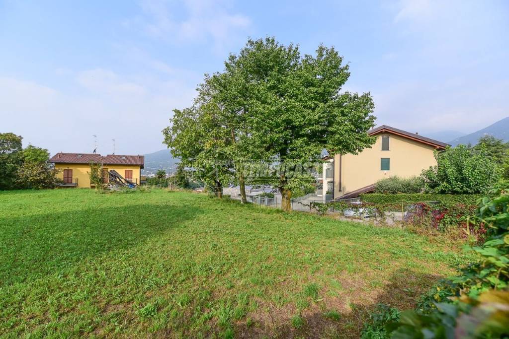 immagine annuncio 2 di 6