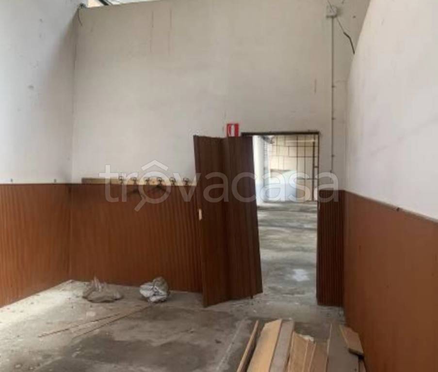 immagine annuncio 6 di 14