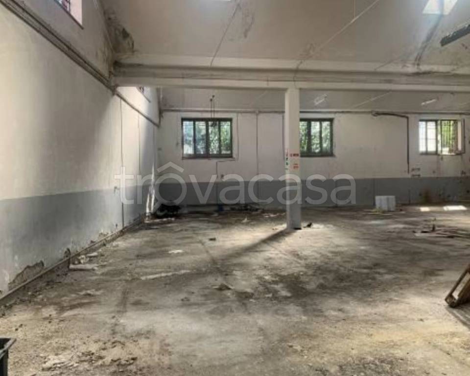 immagine annuncio 8 di 14