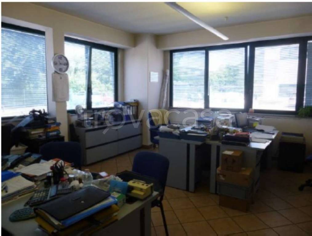 immagine annuncio 4 di 7