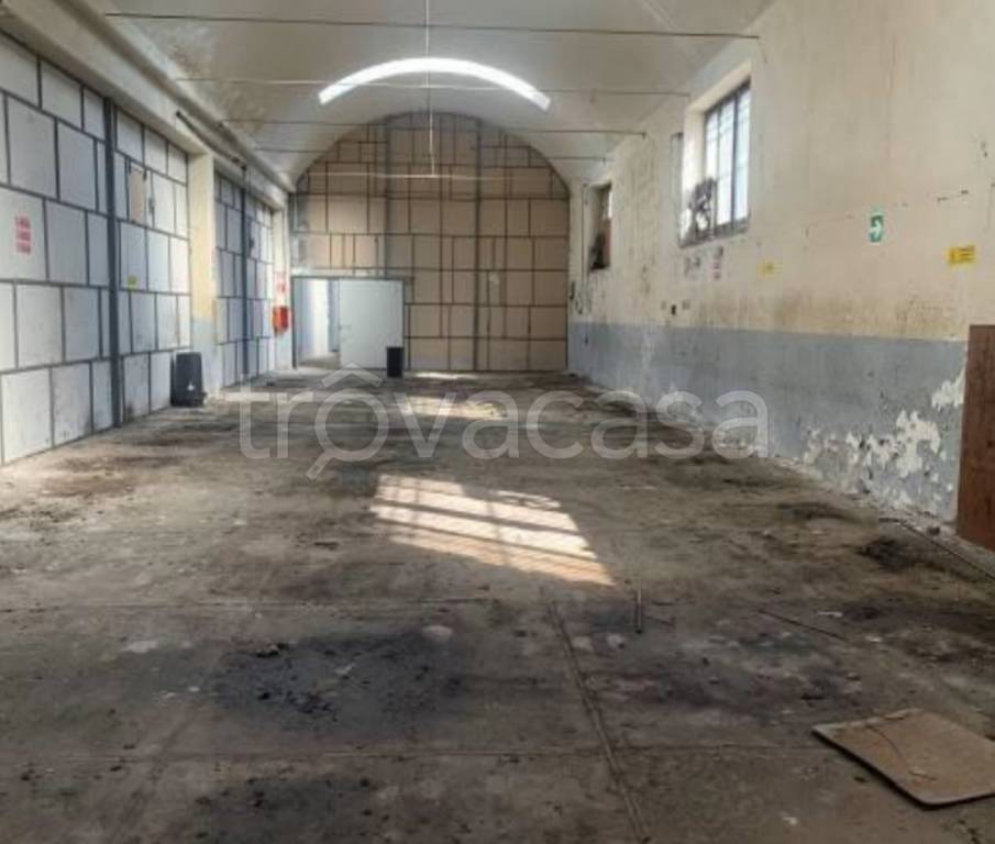 immagine annuncio 10 di 14
