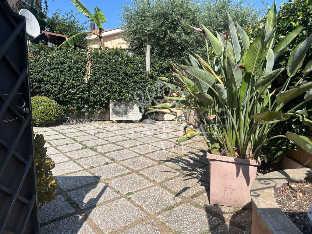 immagine annuncio 1 di 14