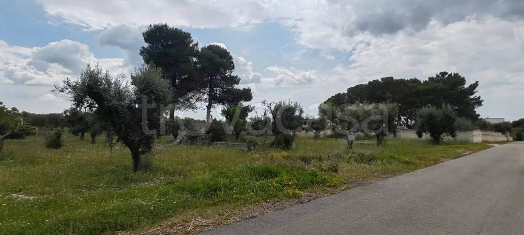 immagine annuncio 2 di 11