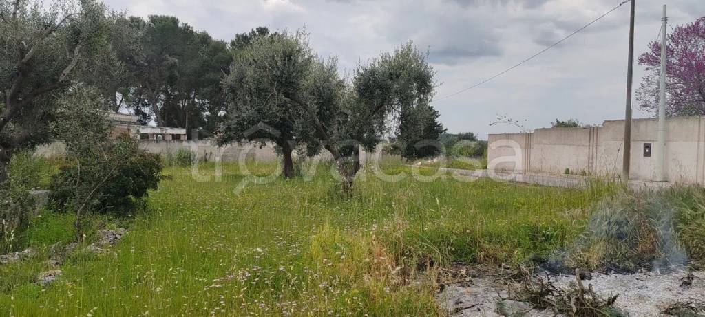 immagine annuncio 9 di 11