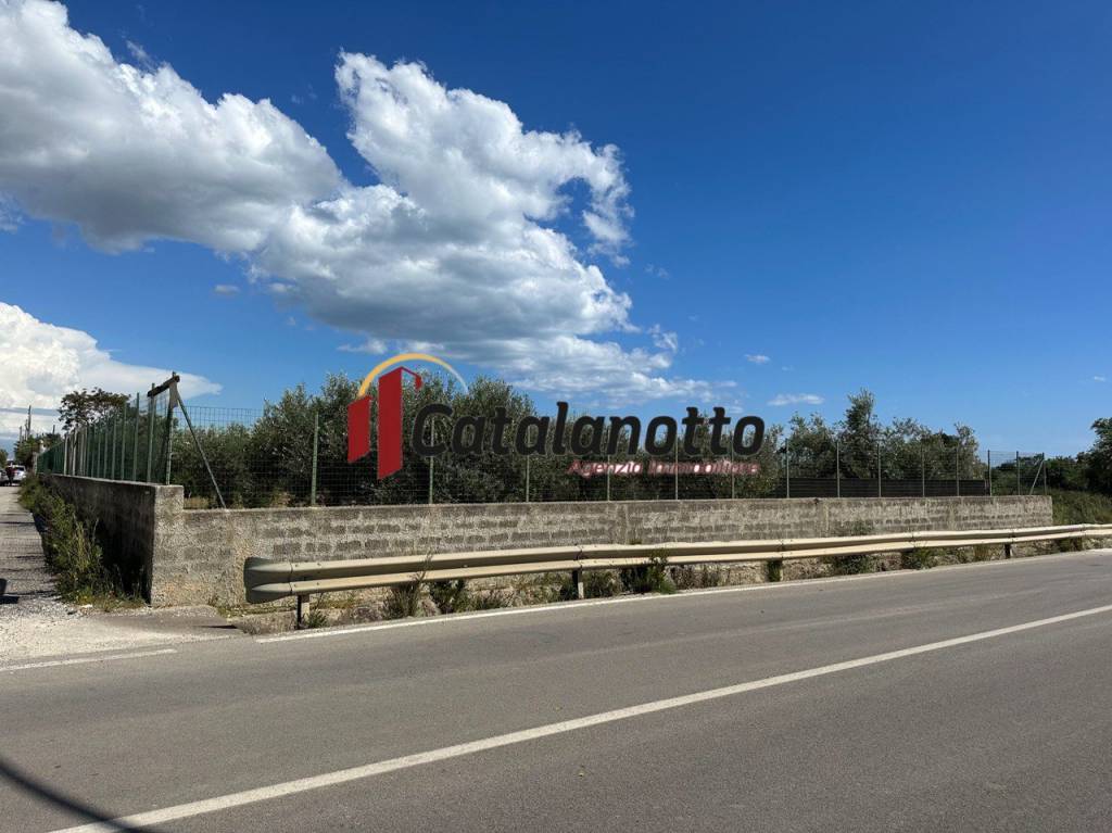 immagine annuncio 3 di 7
