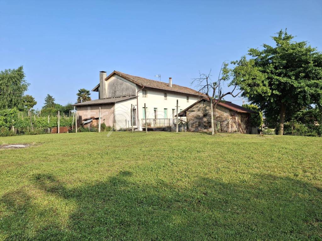 immagine annuncio 1 di 13