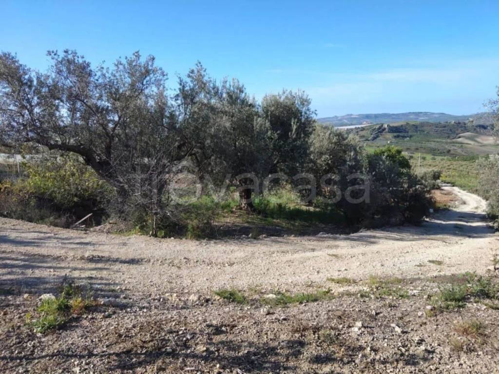 immagine annuncio 1 di 9