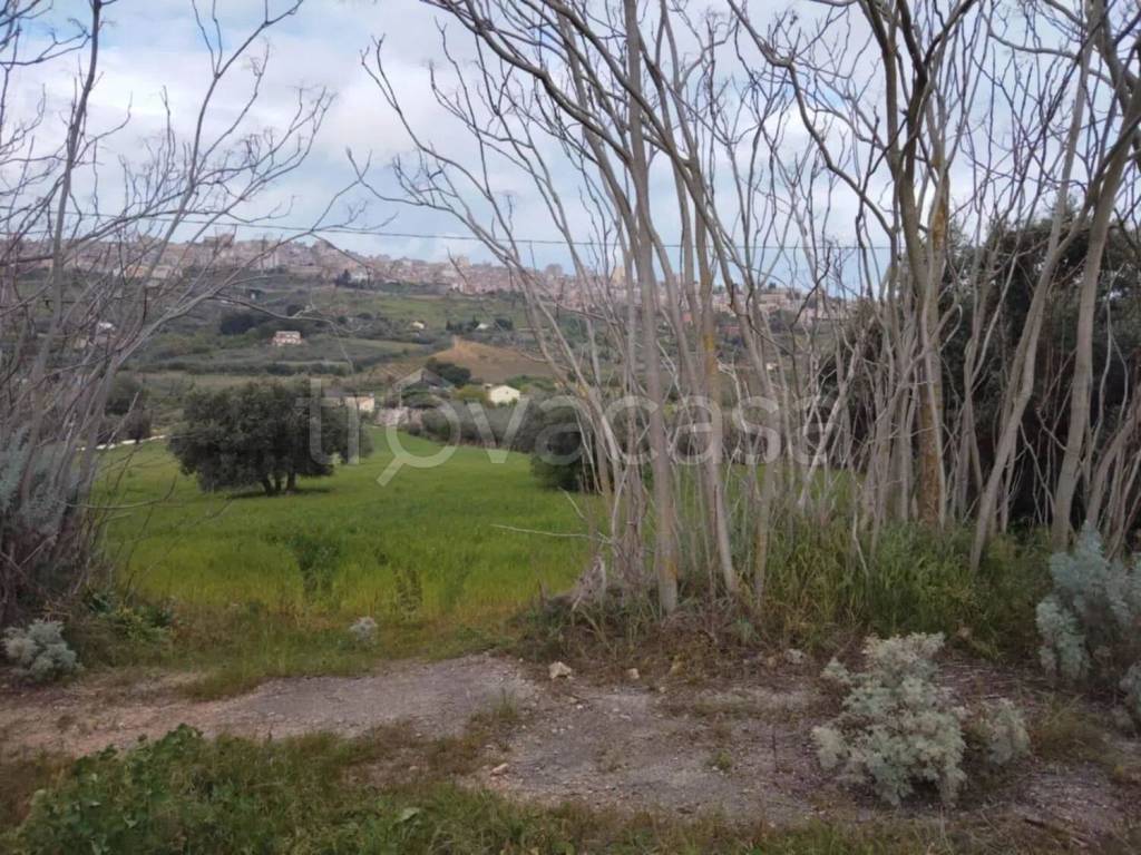 immagine annuncio 12 di 13