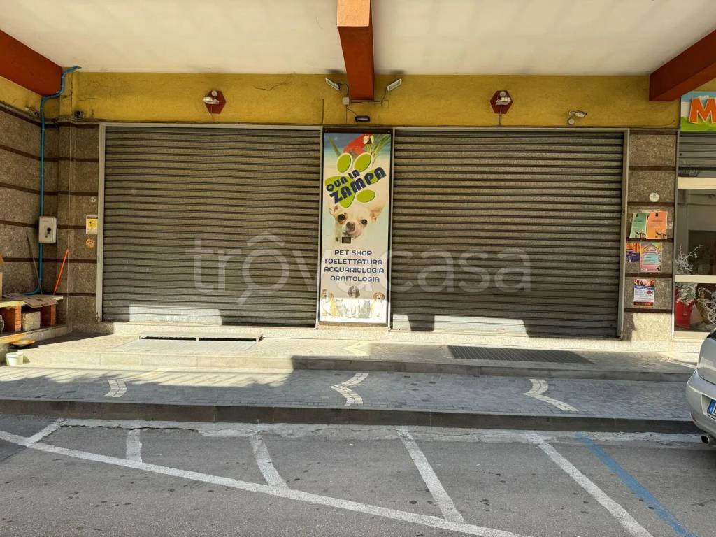 immagine annuncio 2 di 7