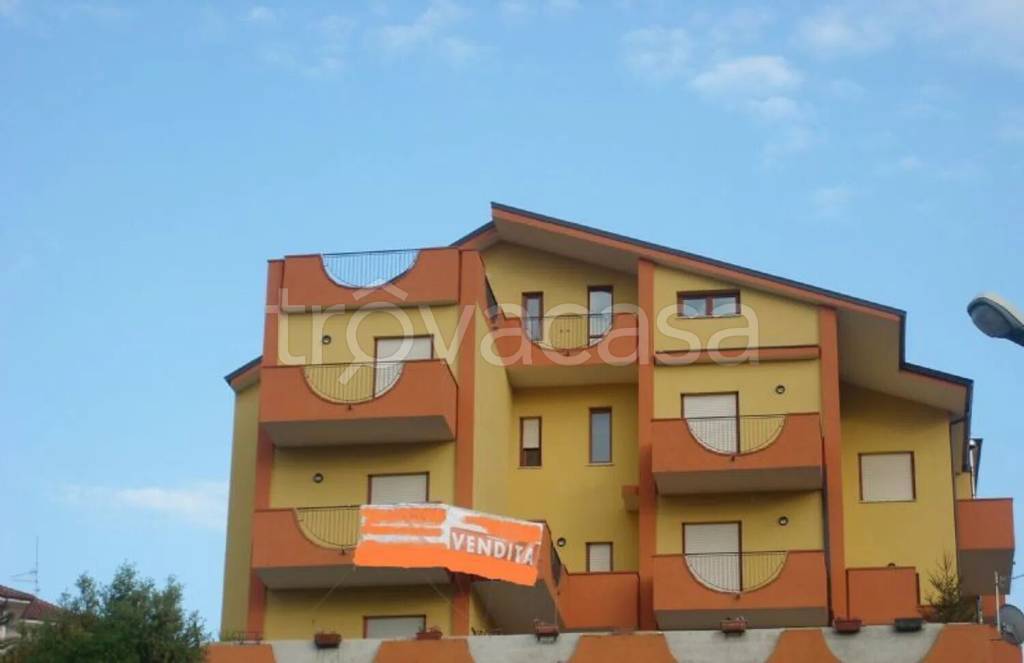 immagine annuncio 9 di 11