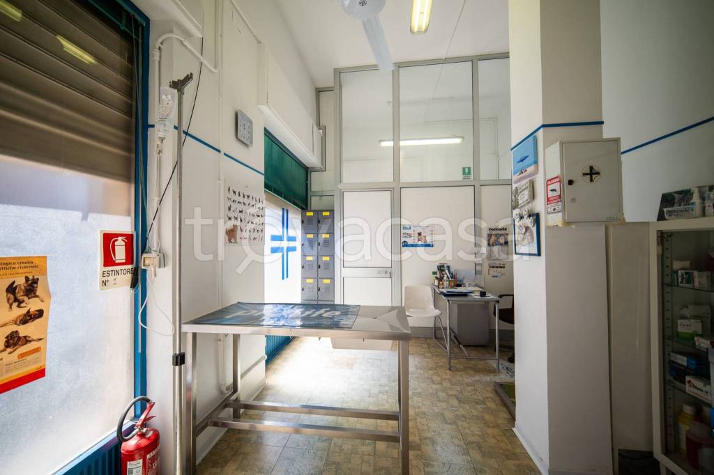 immagine annuncio 11 di 15