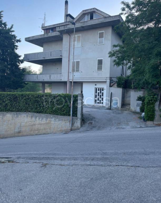 immagine annuncio 3 di 11
