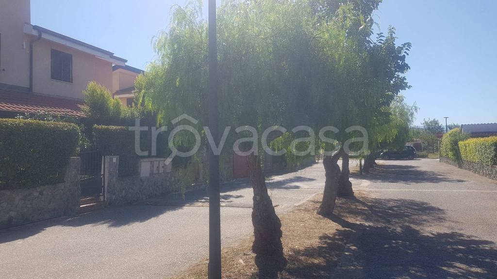 immagine annuncio 13 di 14
