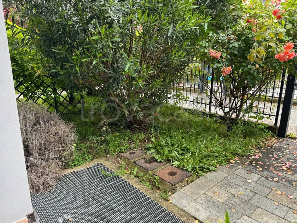 immagine annuncio 2 di 12